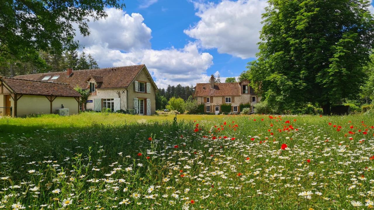 Chambres D'Hotes Le Moulin De Crouy Экстерьер фото